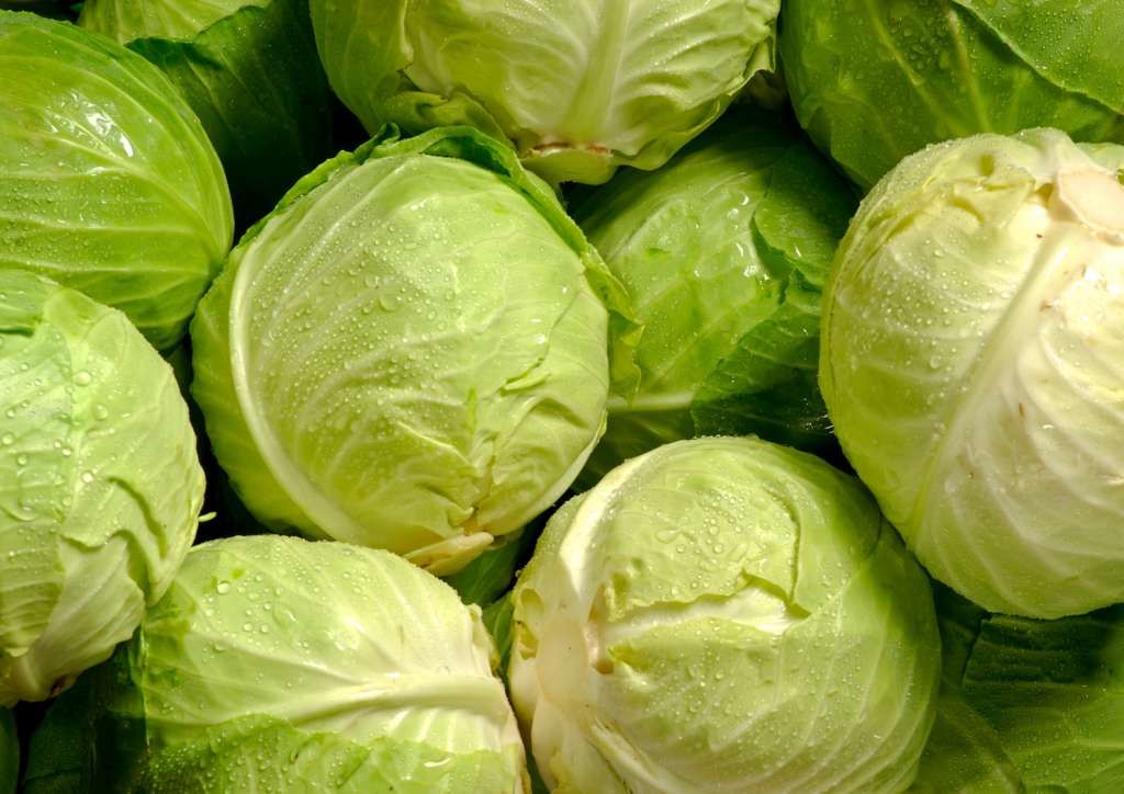 Kubis